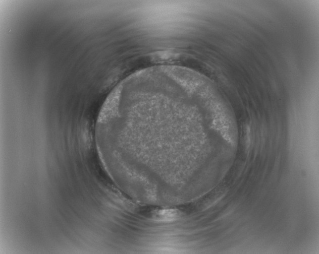 X0000065980324200603311911