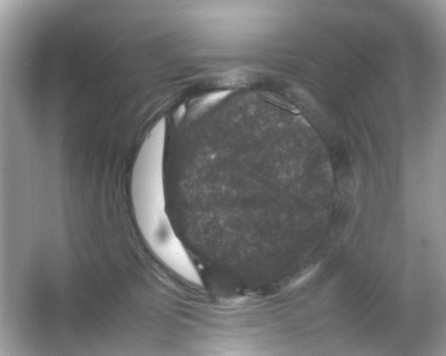 X0000065980325200603311911