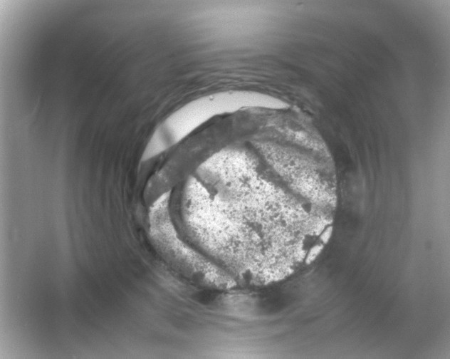 X0000065980327200603311911