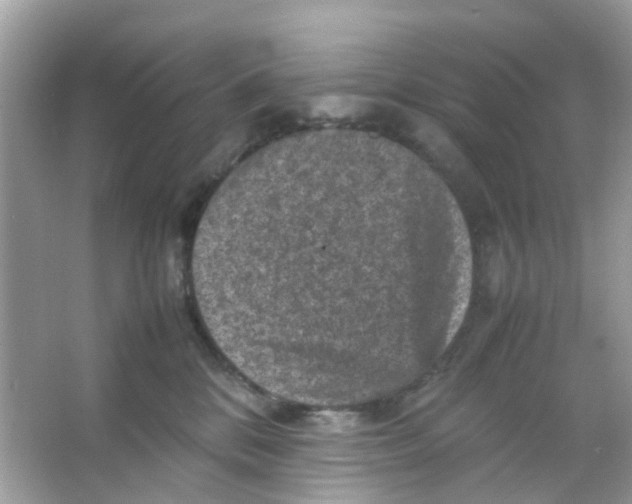 X0000065980328200603311911