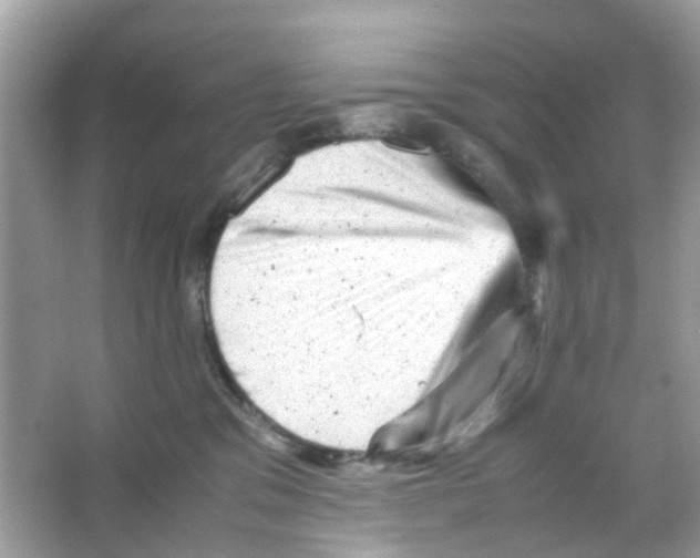 X0000065980329200603311911