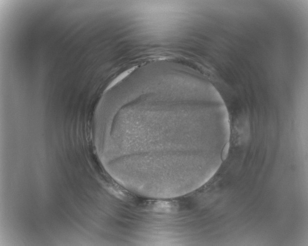 X0000065980330200603311911