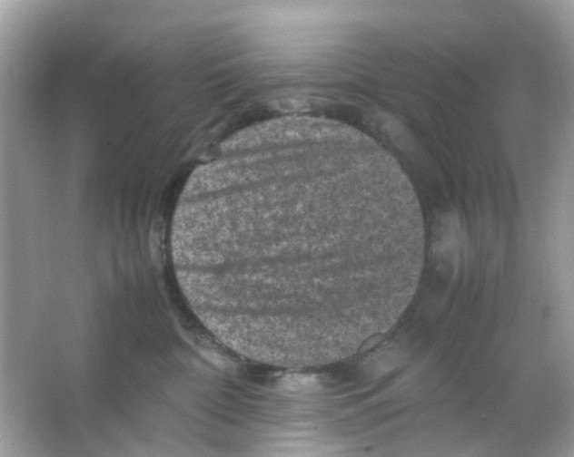 X0000065980332200603311911