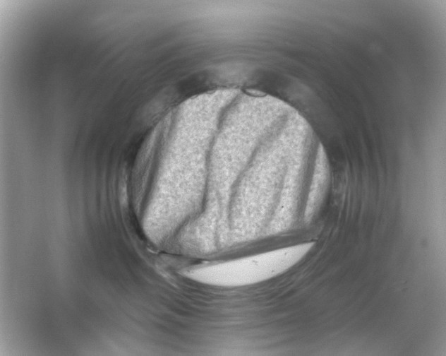 X0000065980334200603311911