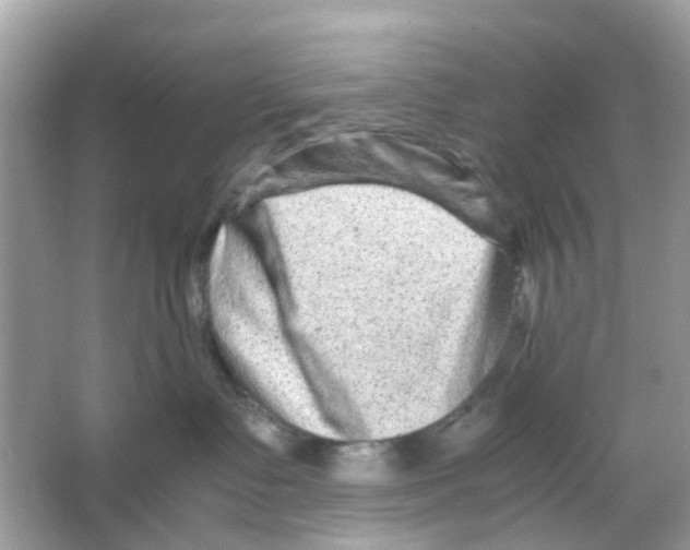 X0000065980335200603311911