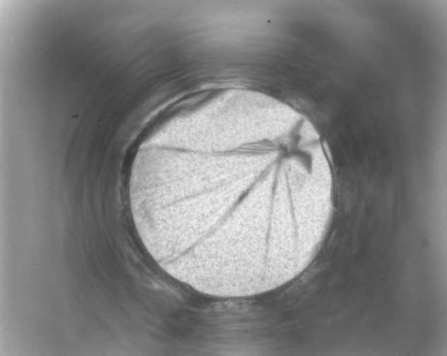 X0000065980338200603311910