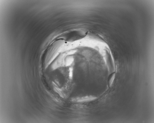 X0000065980339200603311910