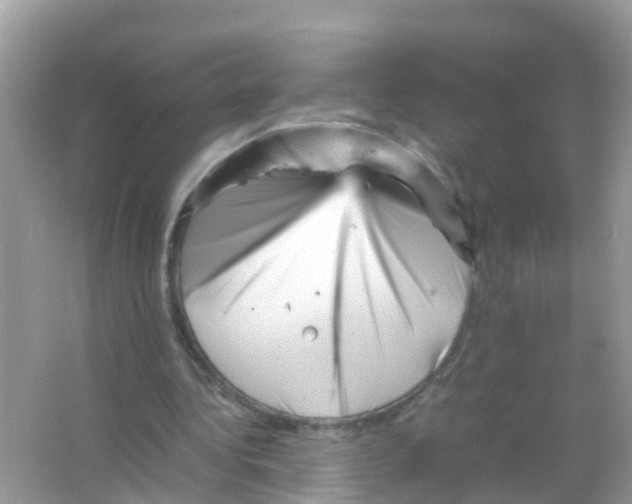 X0000065980340200603311910