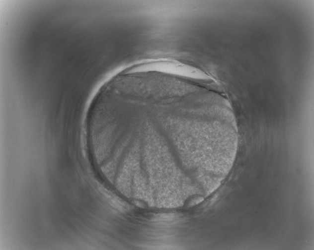 X0000065980342200603311910