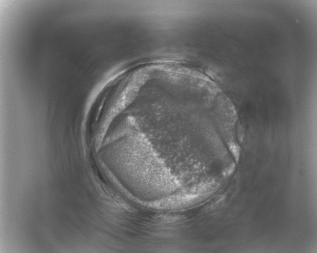 X0000065980343200603311910