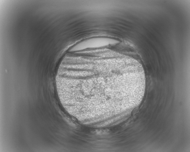 X0000065980345200603311910