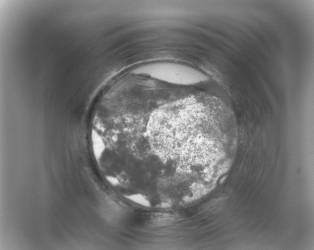 X0000065980347200603311910