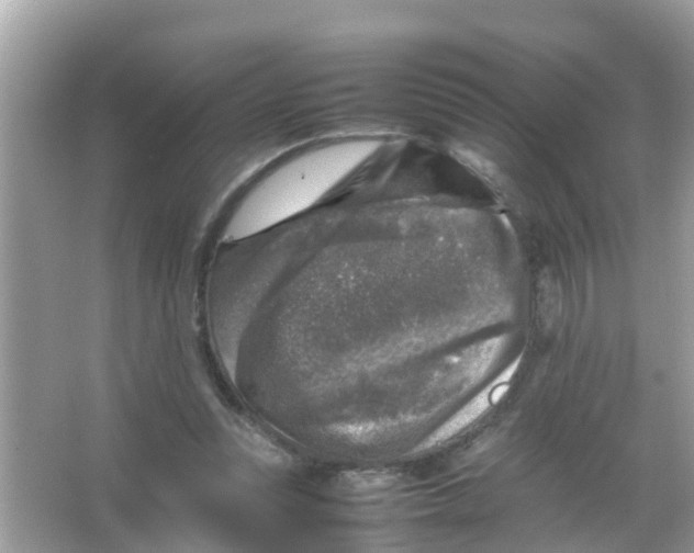 X0000065980351200603311910