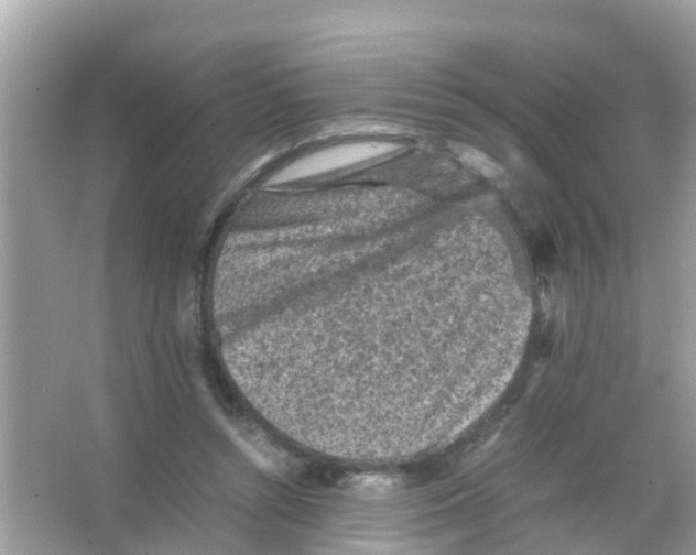 X0000065980352200603311910