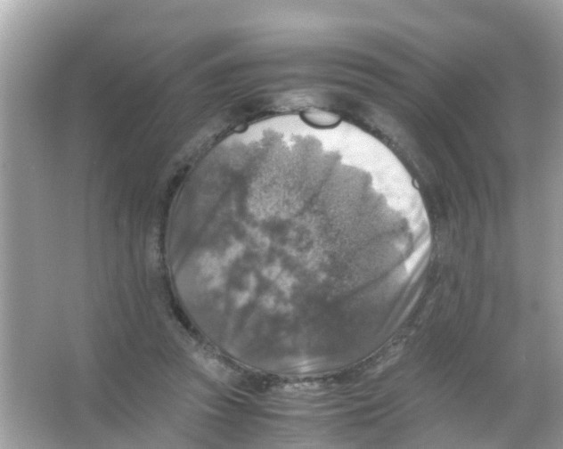 X0000065980353200603311910