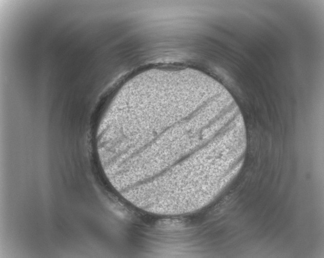 X0000065980354200603311911