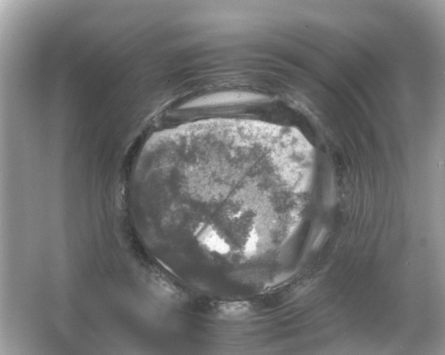 X0000065980355200603311911