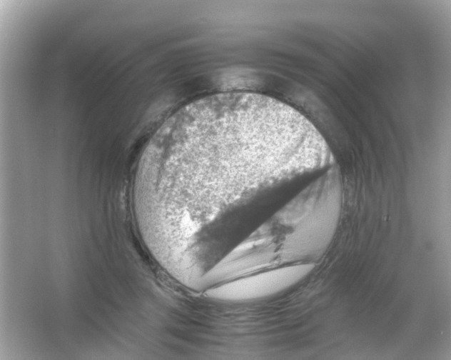 X0000065980357200603311911