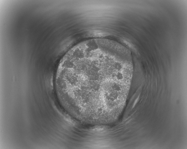 X0000065980358200603311911