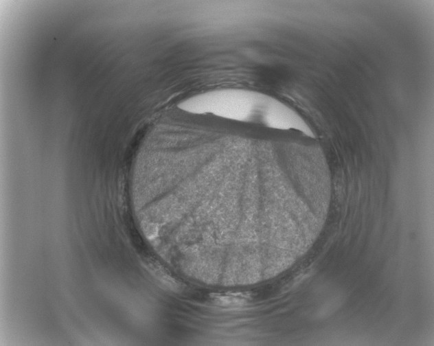 X0000065980359200603311911