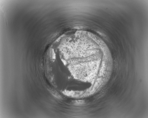 X0000065980361200603311911