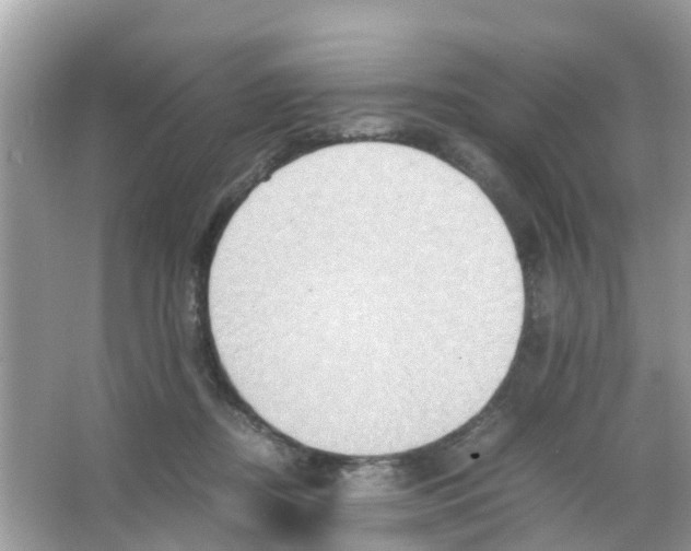 X0000065980362200603311911