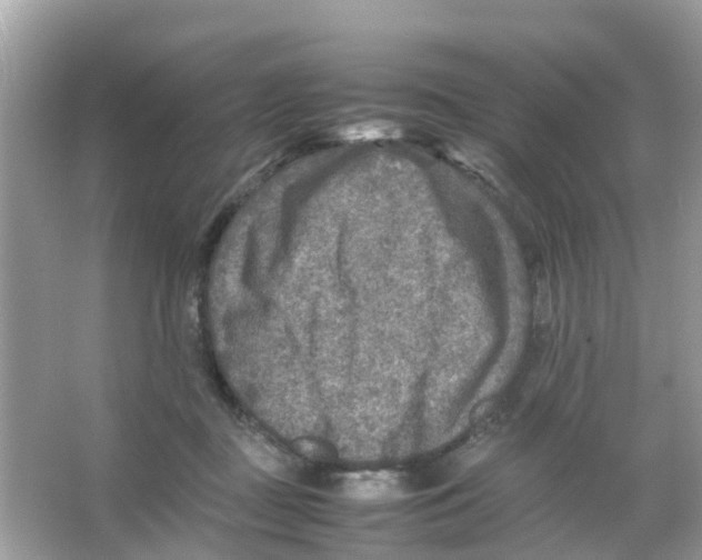 X0000065980363200603311911