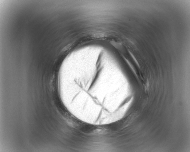 X0000065980364200603311911