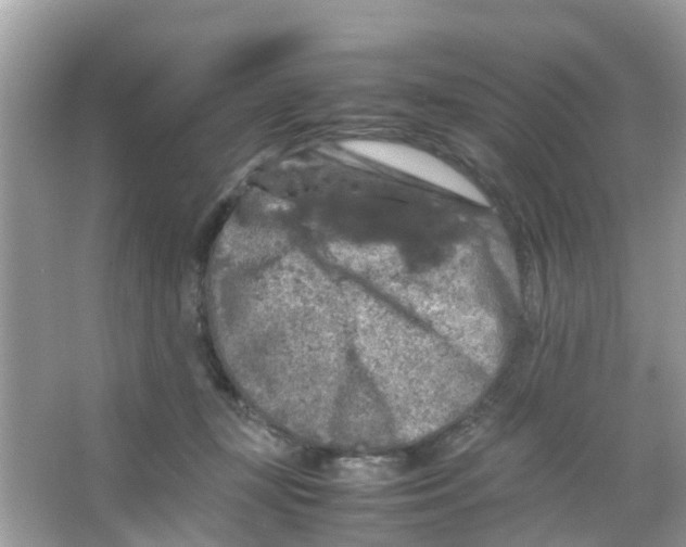 X0000065980367200603311911