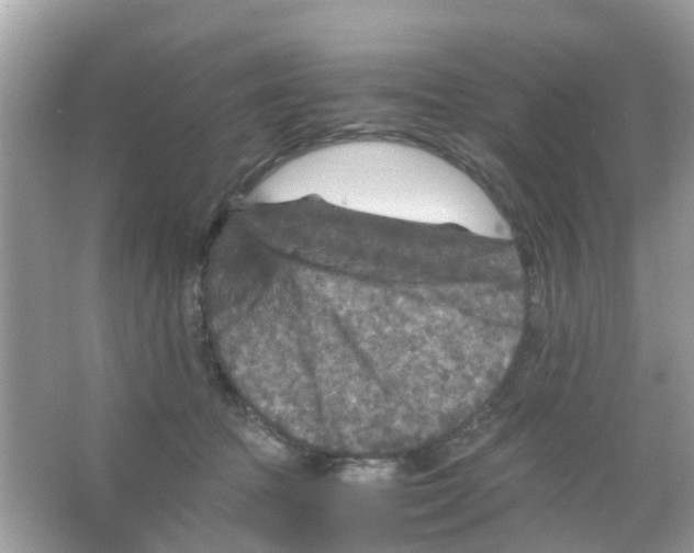 X0000065980369200603311911