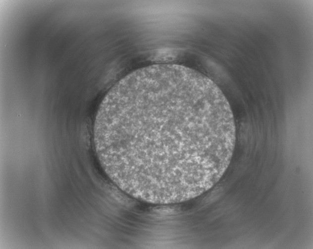 X0000065980370200603311911