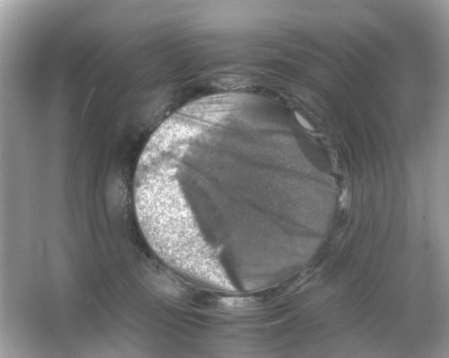 X0000065980371200603311911