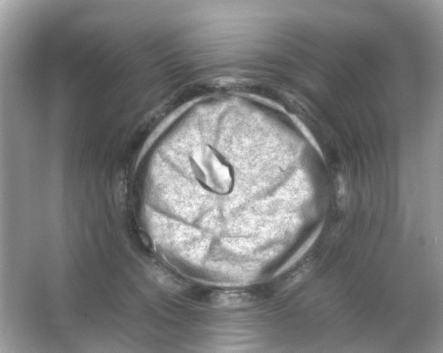 X0000065980372200603311911