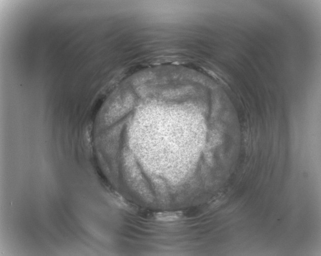 X0000065980373200603311911