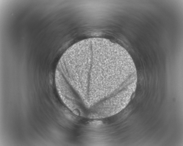 X0000065980374200603311911