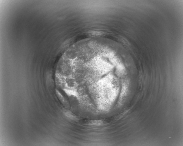 X0000065980377200603311911