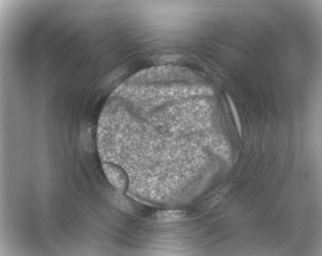 X0000065980378200603311911