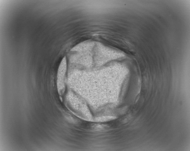 X0000065980379200603311911