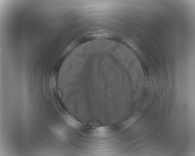 X0000065980382200603311911