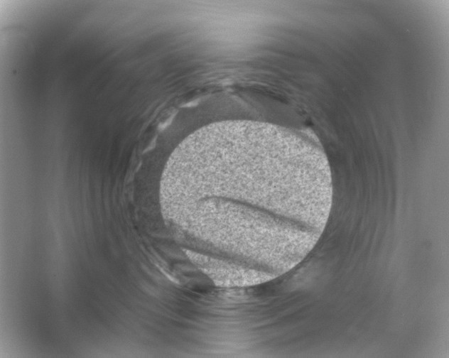 X0000065980384200603311911