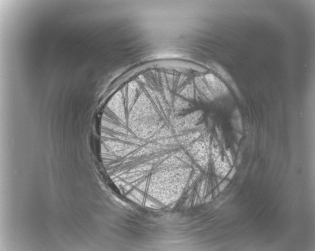 X0000065980385200603311910