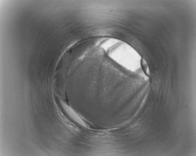 X0000065980386200603311910