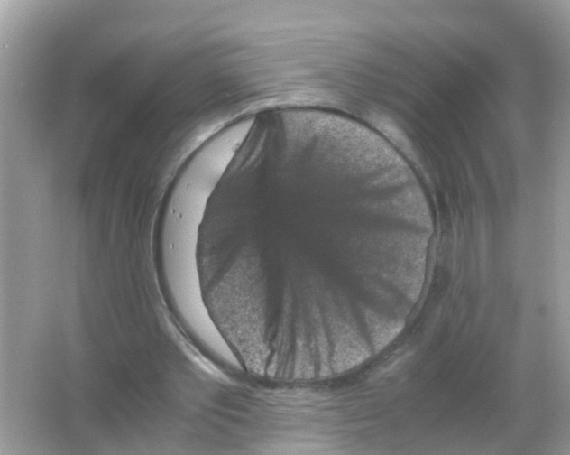 X0000065980389200603311910