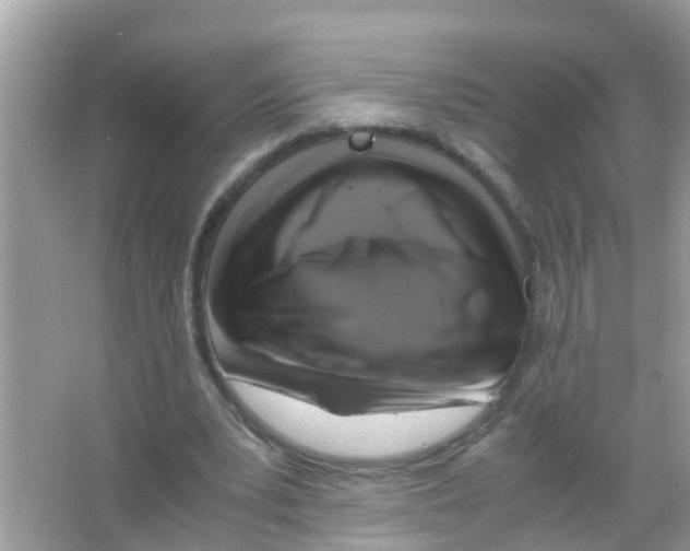 X0000065980391200603311910