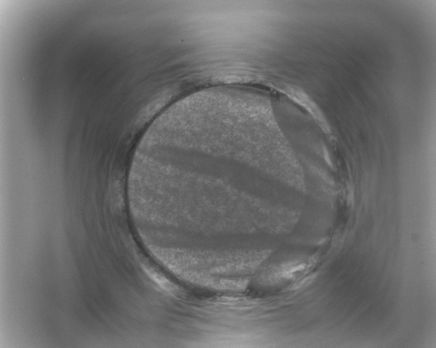 X0000065980393200603311910