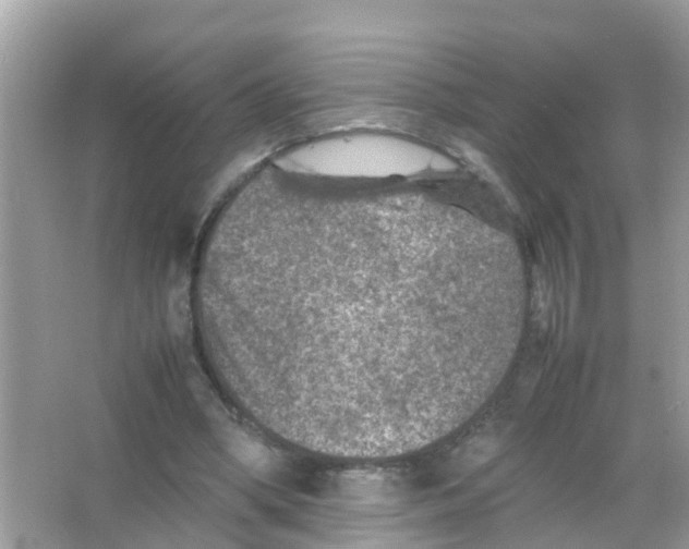 X0000065980394200603311910