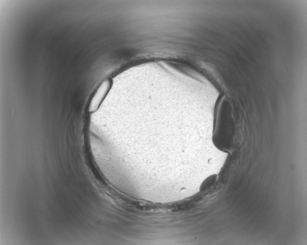 X0000065980395200603311910