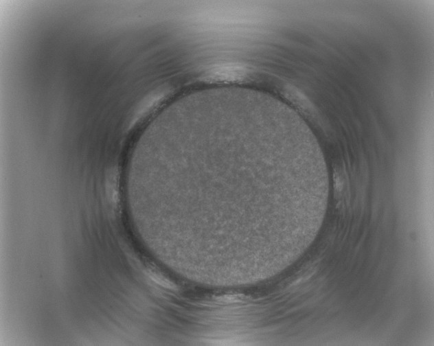 X0000065980396200603311910