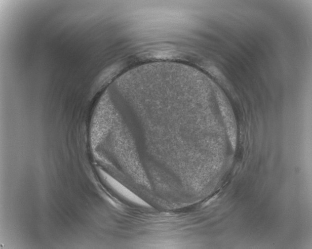 X0000065980397200603311910