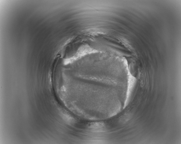 X0000065980398200603311910